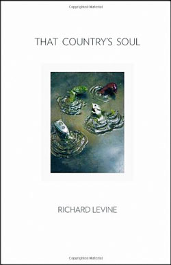 That Country's Soul by Richard Levine