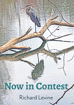 Now In Contest Poetry by Richard Levine